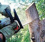 Best Firewood Processing and Delivery  in Commerce, CA